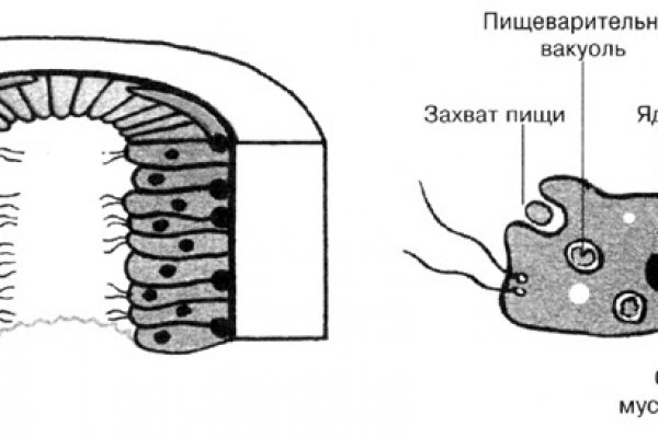 Кракен нарколог